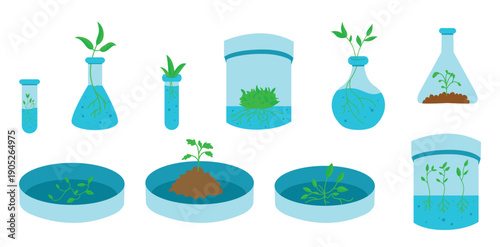 illustration of various in vitro plants growing in glass