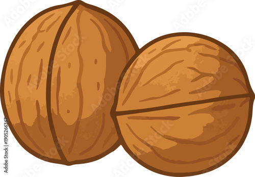 Two Walnuts With Brown Shells And Outline food ingredient