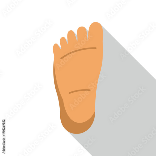 Human foot sole with toes and long shadow against a white background