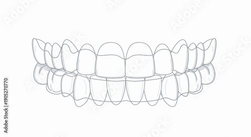 Teeth dental illustration with line art style
