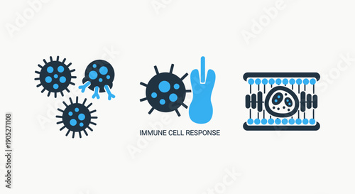 Immune system response icons: viruses, antibodies, and a cell being attacked, illustrating cellular defense, infection, and biological fight. Vector graphics.