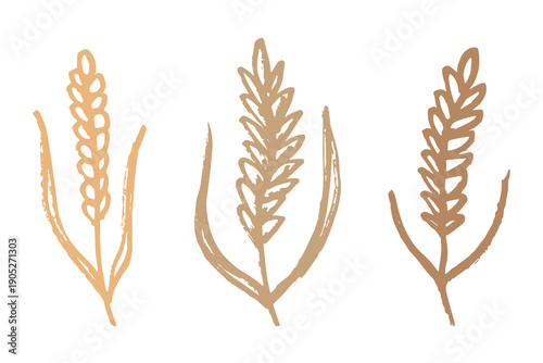 Set of hand drawn cereal wheat oat rye barley rice ears spikelet clipart Organic wheat bread agriculture farming harvest healthy food Single element for design print packaging label decor