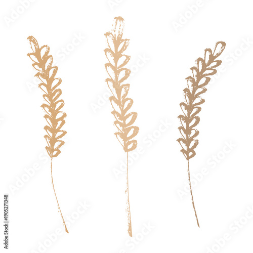 Set of hand drawn cereal wheat oat rye barley rice ears spikelet clipart Organic wheat bread agriculture farming harvest healthy food Single element for design print packaging label decor