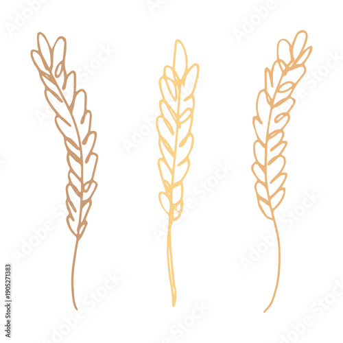 Set of hand drawn cereal wheat oat rye barley rice ears spikelet clipart Organic wheat bread agriculture farming harvest healthy food Single element for design print packaging label decor