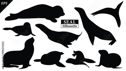 Set of Seal animal Silhouette illustration Isolated on white background, featuring a clean and minimal black shape representing marine wildlife and coastal life. Ideal for logos, icons, Seal vector
