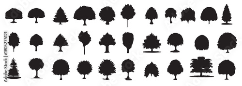 vintage trees and forest silhouettes set in monochrome style 