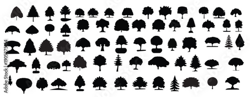 vintage trees and forest silhouettes set in monochrome style