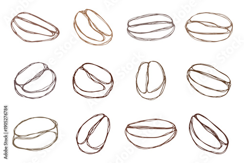 Set of hand drawn fresh roasted coffee bean Arabica robusta seed doodle Single element for design print packaging label decor