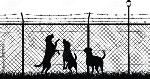 Security dogs silhouette behind barbed wire fence illustrating guard animals protecting restricted area, border security, and perimeter protection concept isolated on white background
