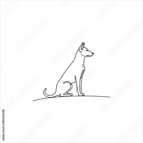 A dog sitting on the ground looking to the right