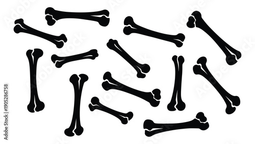 A collection of various animal bones scattered on a white background. Vector