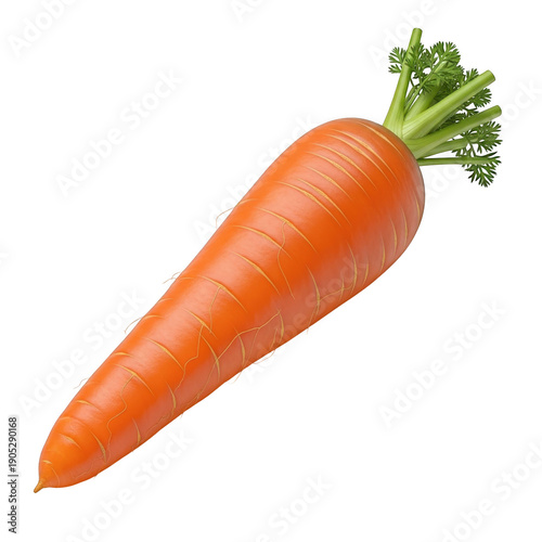 Single orange carrot with green top
