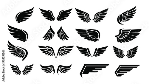A collection of various feather designs and patterns in black and white Vector