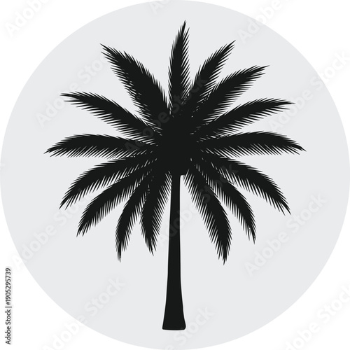 Black silhouette of a palm tree on a light gray background