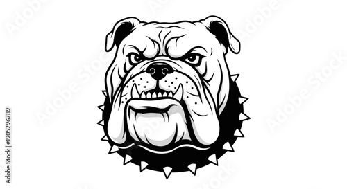 Aggressive Bulldog Head with Spiked Collar Illustration.