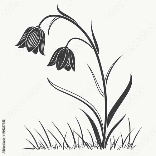 Snake’s Head Fritillary Silhouette