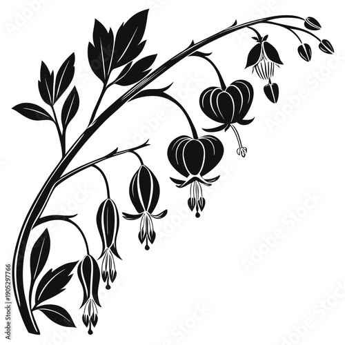 Bleeding Heart Vine Silhouette