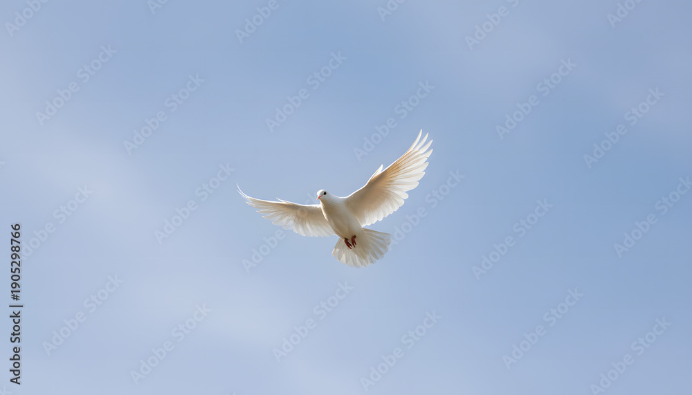 Fototapeta premium A white dove with wings outstretched soars through a clear blue sky, symbolizing peace and freedom