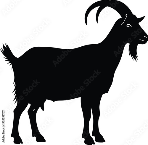 Vector illustration of a goat with horns standing profile view