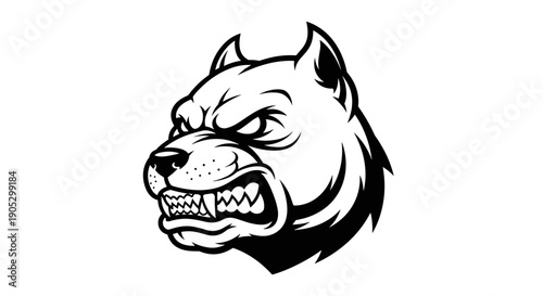 Aggressive Pitbull Dog Head Illustration Fierce Expression 1.