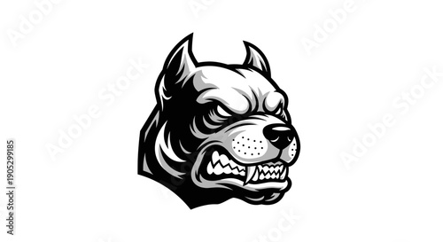 Aggressive Pitbull Dog Head Illustration Fierce Expression.