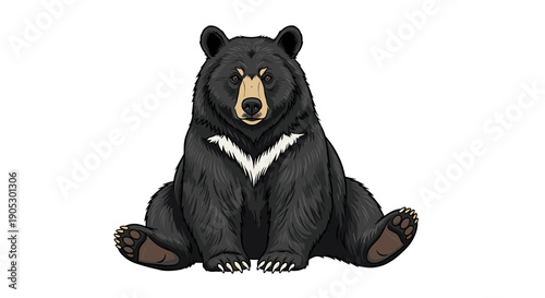 Asian Black Bear Sitting Front View Illustration.