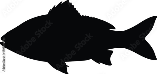 Silhouette of fish swimming in ocean viewed from side profile illustration