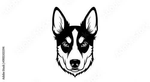 Black and White Husky Dog Head Portrait.