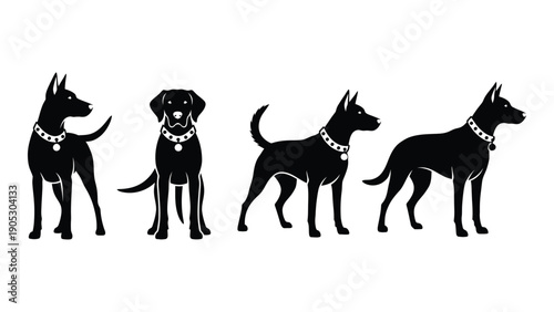 Four different dog breeds standing in a row, showcasing diversity in size and shape. Vector