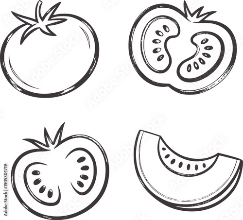 Hand drawn of whole tomato and tomato slices with melon slice handdrawn