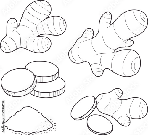 Line of ginger root slices and powder spice