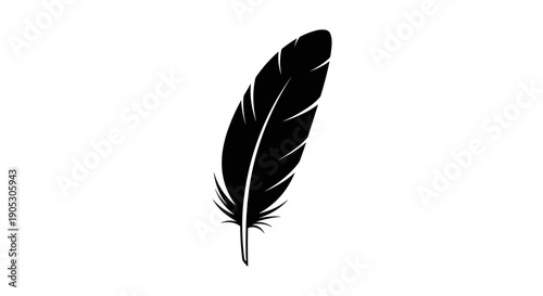 Black Feather Silhouette Isolated on White Background 2.