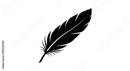 Black Feather Silhouette Isolated on White Background 3.