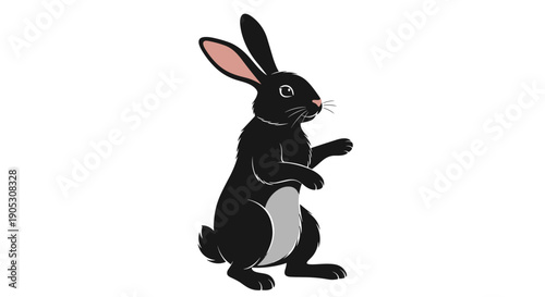 Black Rabbit Standing Upright with Ears Alert.