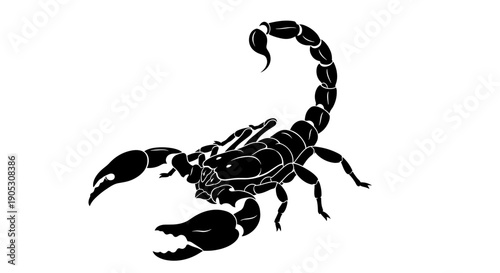 Black Scorpion Silhouette Illustration Graphic Design.