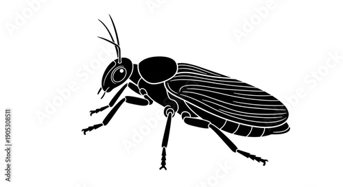 Black Silhouette of a Cockroach Insect Illustration.