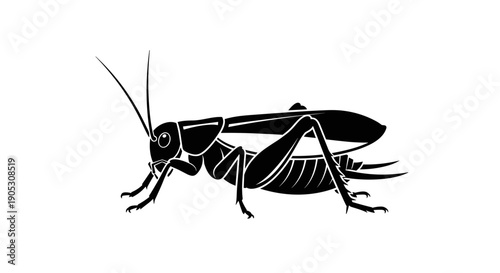 Black Silhouette of a Cricket Insect Illustration.