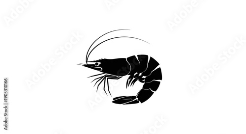 Black Silhouette of a Shrimp on a White Background.