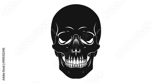 Black Skull Illustration with White Highlights.