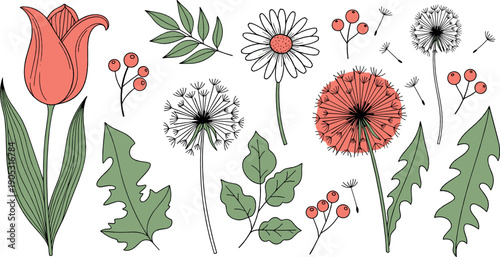 Hand drawn wildflower and botanical element set with tulip, dandelion and leaves, elegant vintage style flat vector illustration for nature and floral design