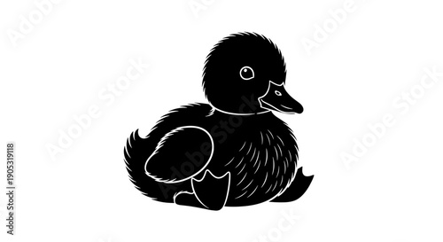 Cute Black Duckling Sitting Adorable Baby Bird.