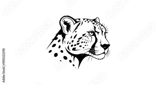 Detailed Black and White Illustration of a Cheetahs Head.