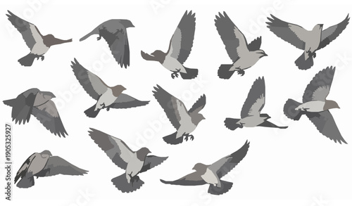 Flying Bird Silhouette Vector Set with Multiple Birds in Dynamic Flight Poses Isolated on White Background