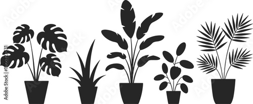 Indoor plant silhouettes in pots, houseplant collection, botanical decor, minimal design, modern interior, nature, and home styling concept