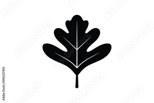 Oak leaf silhouette on white background, simple black and white design with natural theme and elegant style