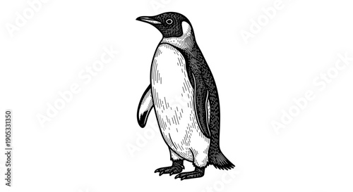 Detailed Sketch of an Emperor Penguin Standing Proudly.