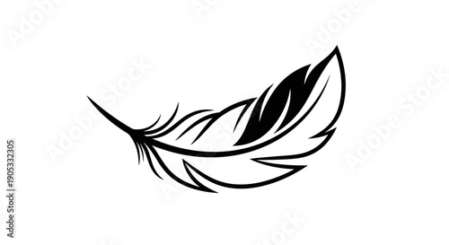 Elegant Black Feather Silhouette Isolated on White Background 4.