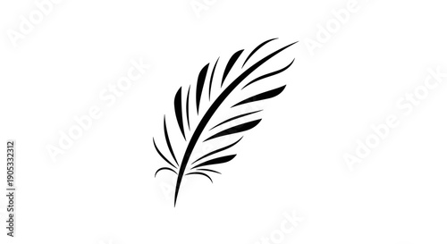Elegant Black Feather Silhouette Isolated on White Background 7.
