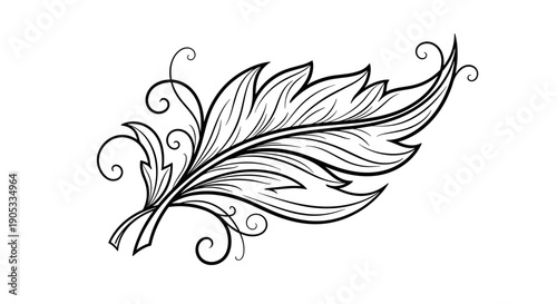 Elegant Feather Design with Swirling Ornaments.