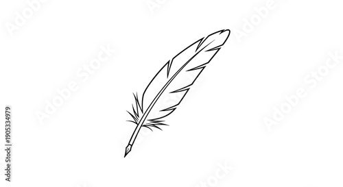 Elegant Feather Illustration Simple Line Art Drawing.